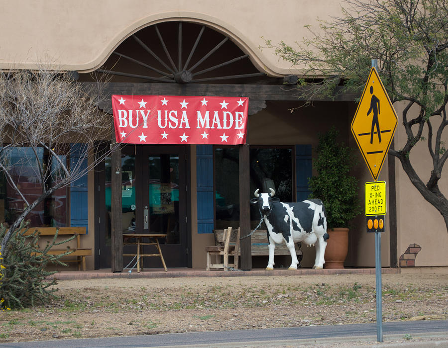 Cow Photograph - Buy USA I by Carolina Liechtenstein