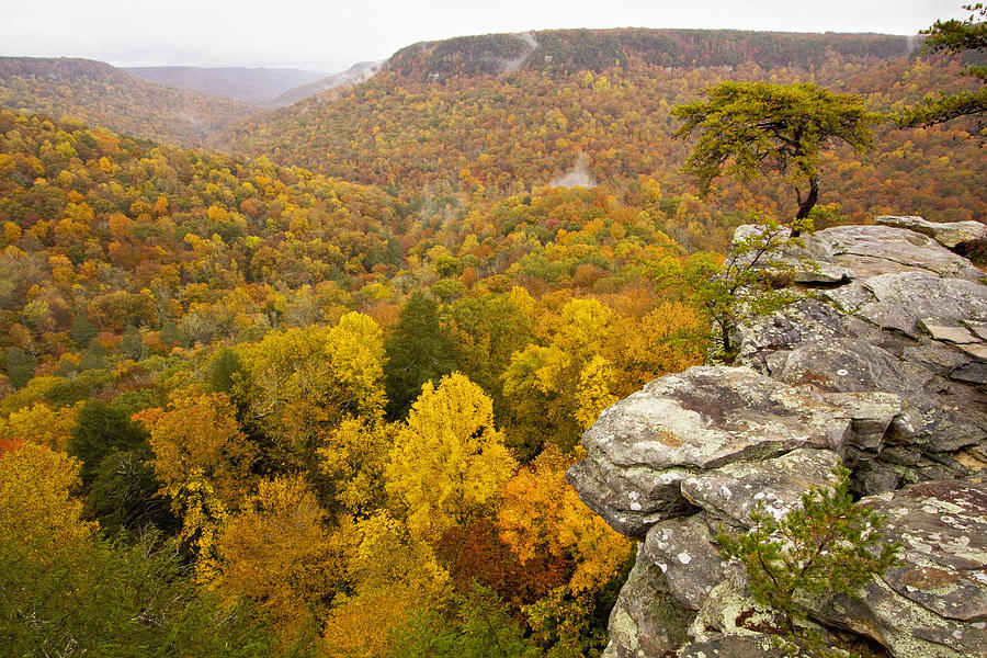 Buzzard Point overlook Photograph by Harold Stinnette - Fine Art America