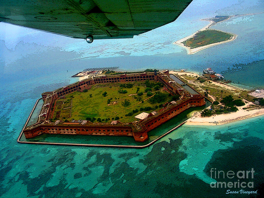 Buzzing the Dry Tortugas Photograph by Susan Vineyard