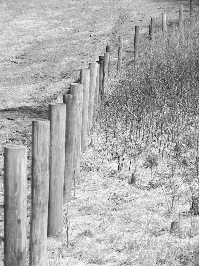 BW Fence Line Photograph by Erick Schmidt