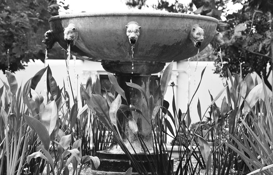 BW Fountain at the Getty Villa Photograph by Teresa Mucha
