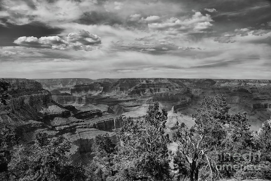 BW Grand Canyon A Photograph by Chuck Kuhn
