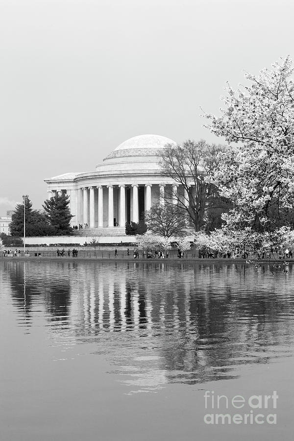 Jefferson Memorial Reflection Black and white  Photograph by Karen Jorstad
