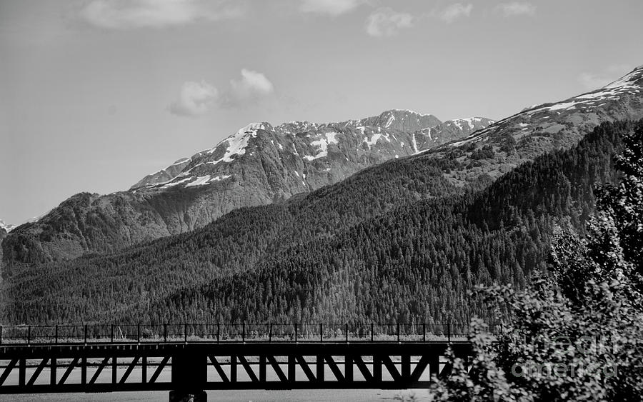 Bw Rail Alaska  Photograph by Chuck Kuhn