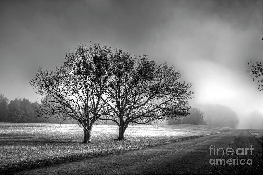 BW Sunrise Fog Colonial Parkway Williamsburg Virginia Photograph by Karen Jorstad