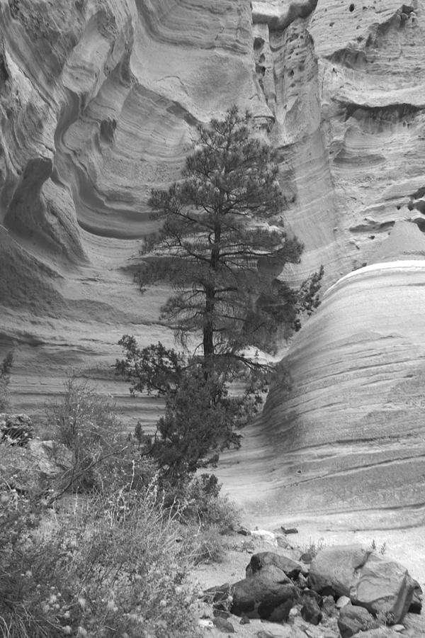 BW Tent Rock View Photograph by James Gay