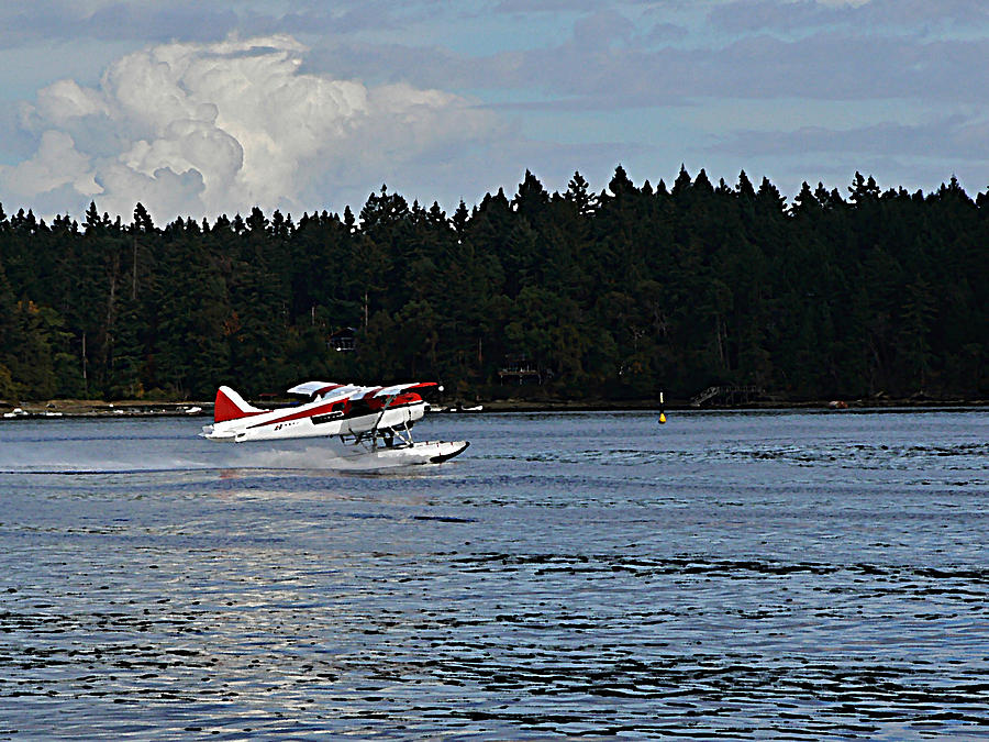 By Air and by Sea Vancouver Island Photograph by Barbara St Jean