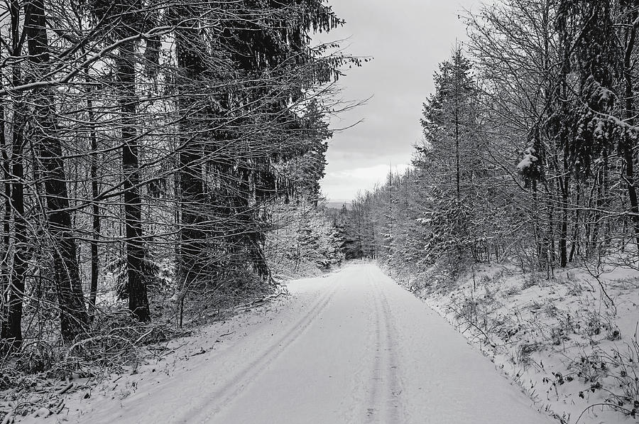 By Snowy Road. Black and White Photograph by Jenny Rainbow