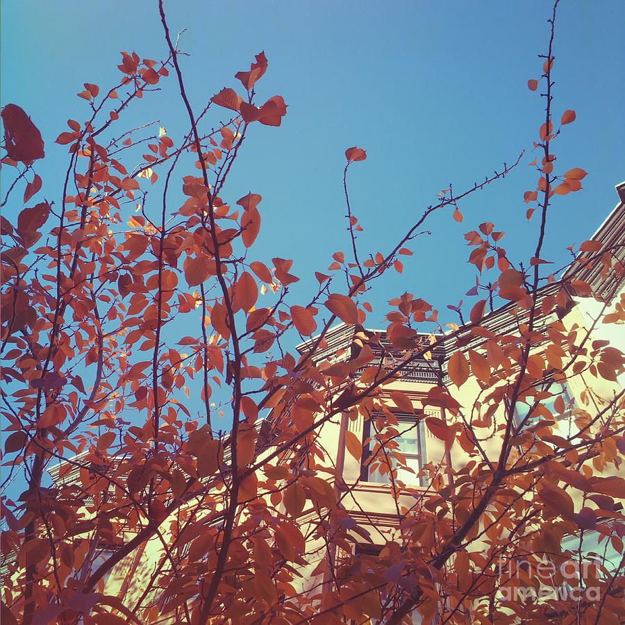 Fall Photograph - By the Autumn Tree 2 by Onedayoneimage Photography