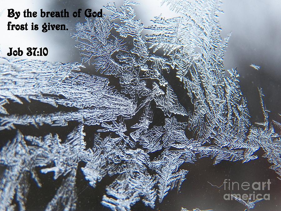 By the Breath of God Frost is Given Photograph by Corinne Elizabeth Cowherd