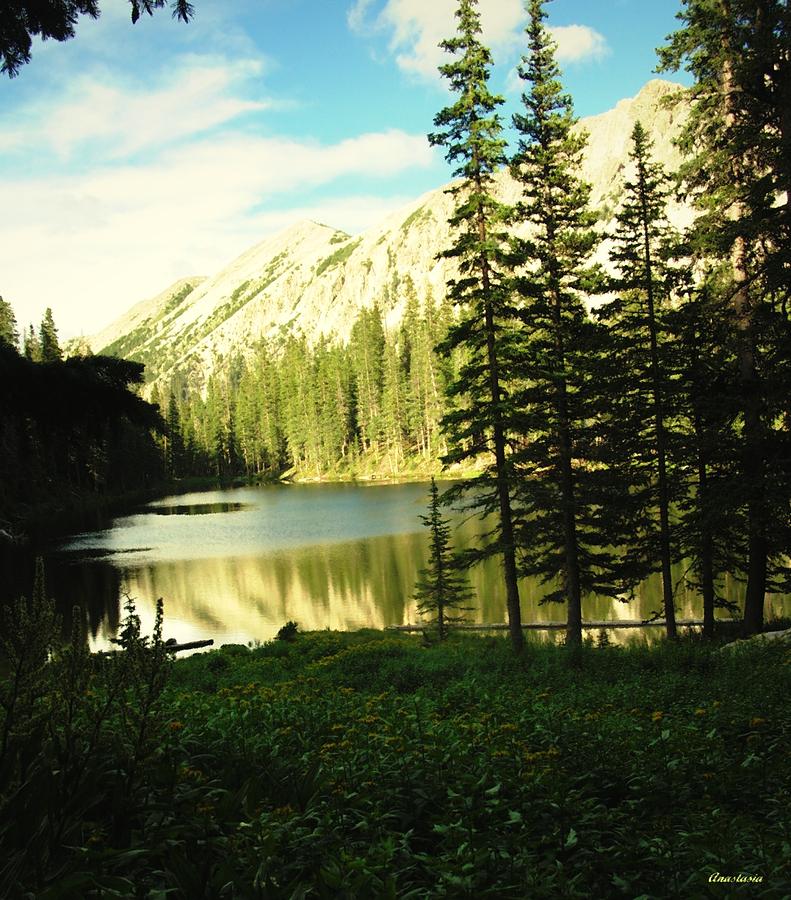 By The Inlet Trampas Lake New Mexico Photograph by Anastasia Savage ...