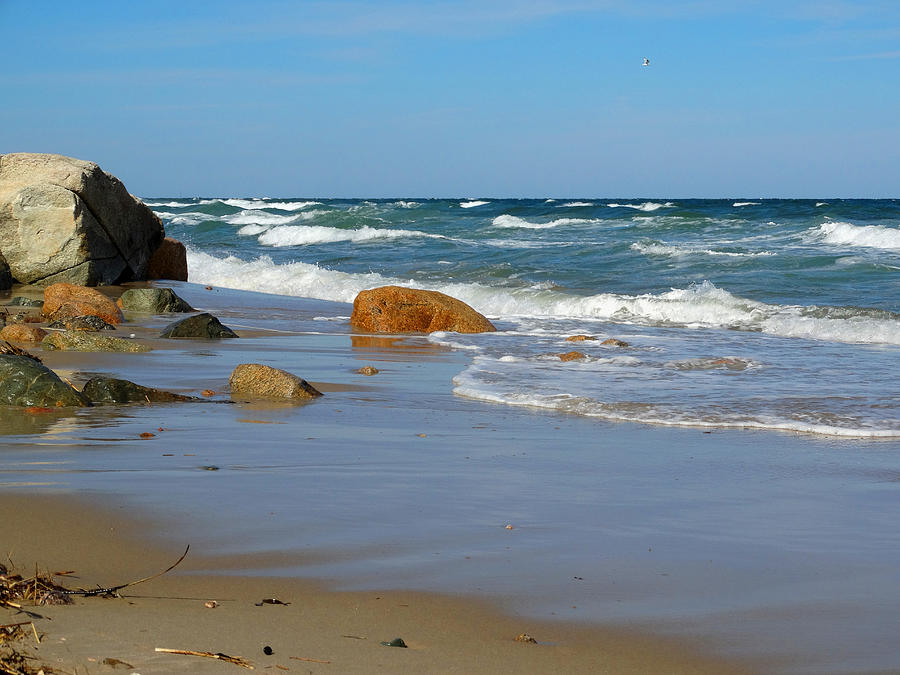 Nature Photograph - By The Sea by Dianne Cowen Cape Cod Photography