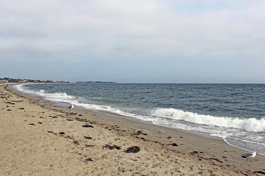 By The Sea Cape Cod Photograph by Stephanie Dailey