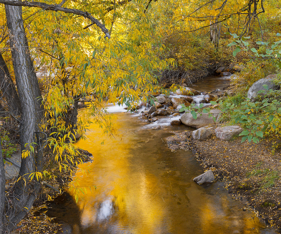 Fall Photograph - By the Shimmering Brook by Tim Reaves