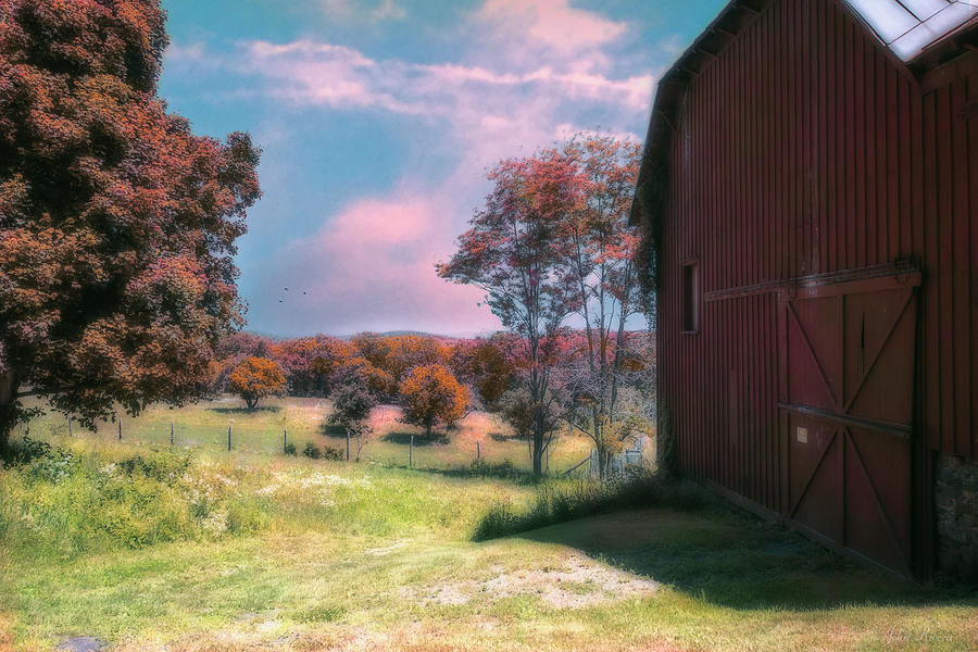By the side of the Red Barn Photograph by John Rivera