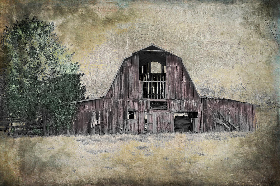 Bygone Barn Photograph by Paula Ponath