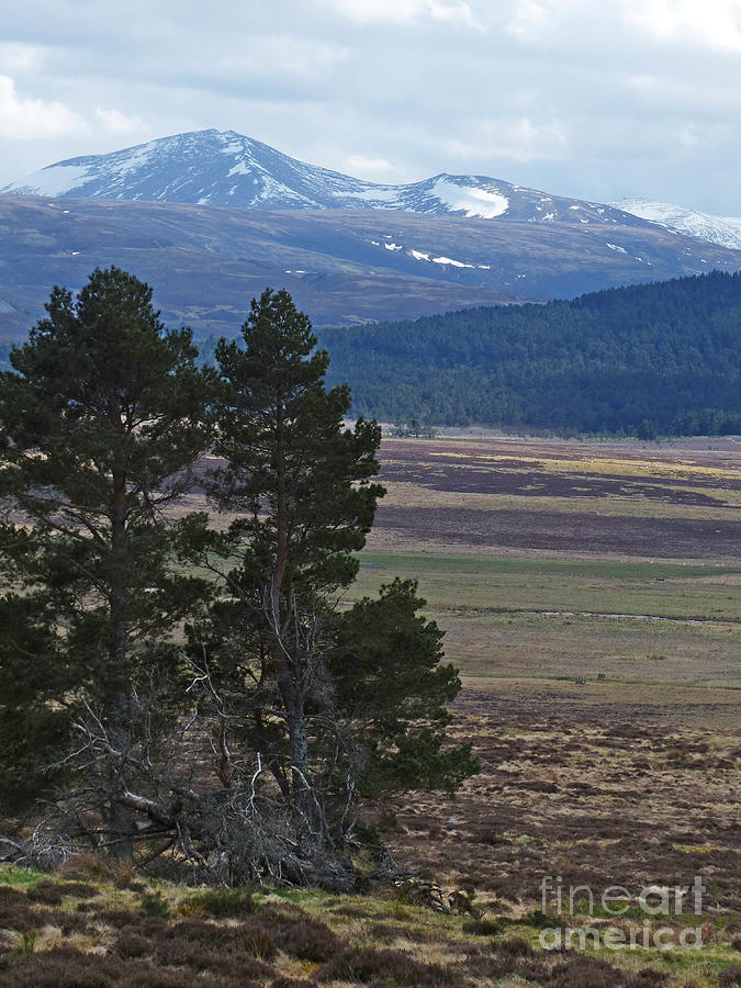 Bynack More and Beag - Cairngorm Mountains Photograph by Phil Banks