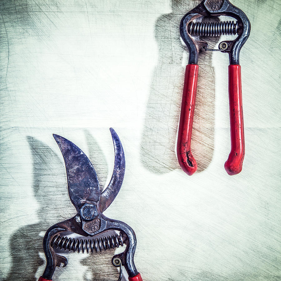 Pliers Photograph - Bypass Pruners by Yo Pedro