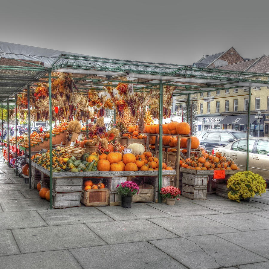 Byward Market Pumpkins Photograph by Leslie Montgomery