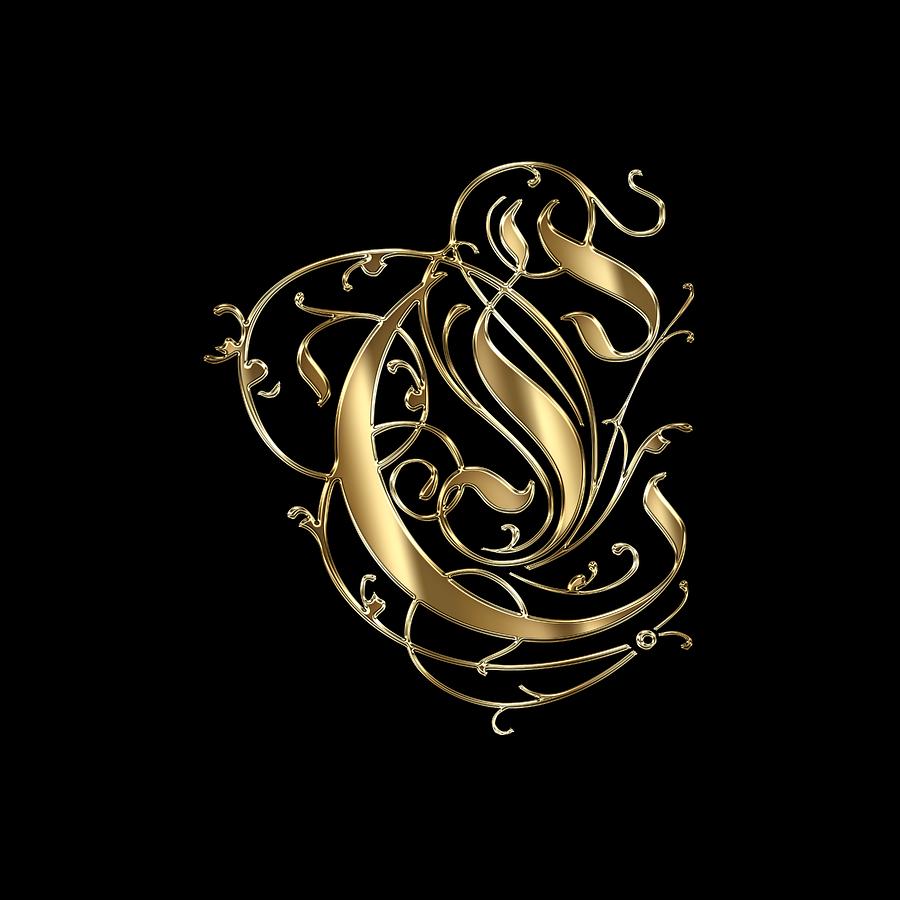 C Ornamental Letter Gold Typography Painting by Georgeta Blanaru