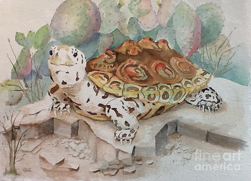 Diamondback Art for Sale - Fine Art America