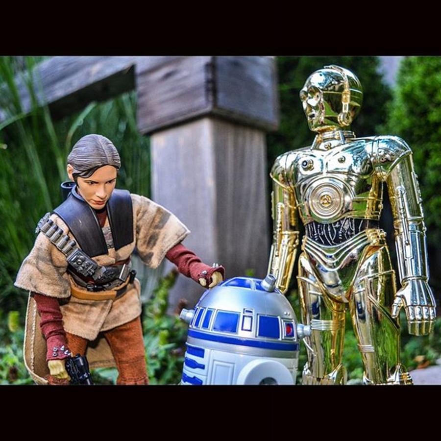 Lightsabers Photograph - C3po And R2 Get Ready To Follow Leia To by Russell Hurst
