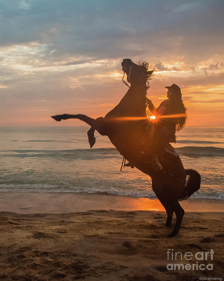 Up Movie Photograph - Caballo En La Playa by Janal Koenig