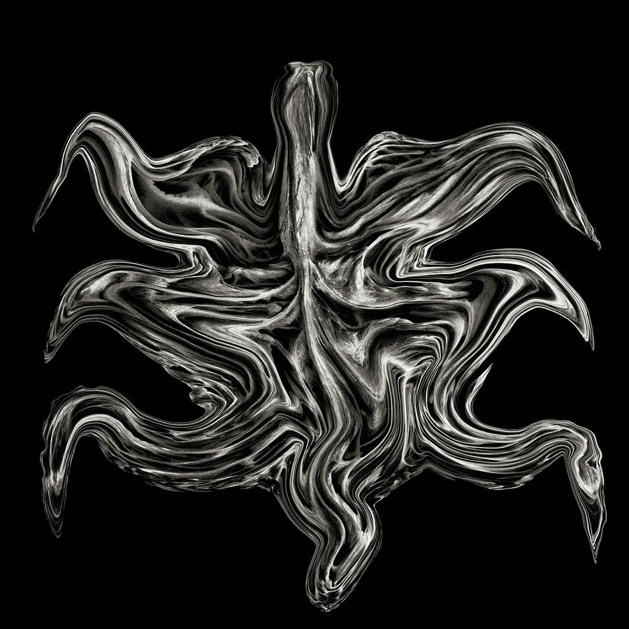 Cabbage Crawler Digital Art by Robert Woodward