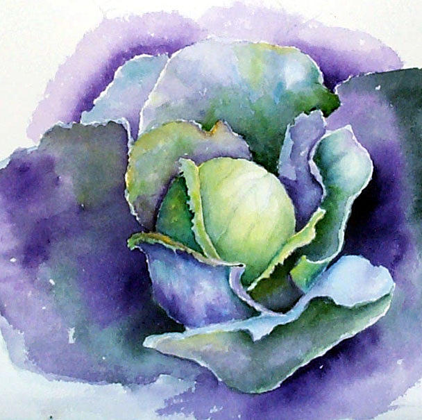 Cabbage Painting by Dorothy Nalls - Fine Art America