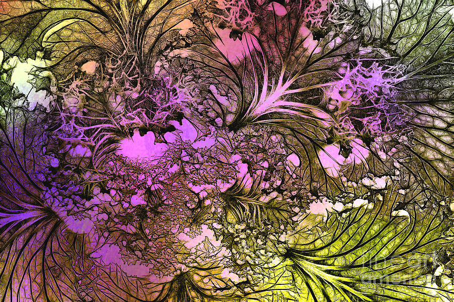 Cabbage Fantasy Photograph by Judi Bagwell