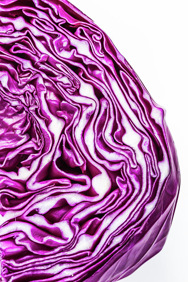 Cabbage Head Photograph by Teri Virbickis