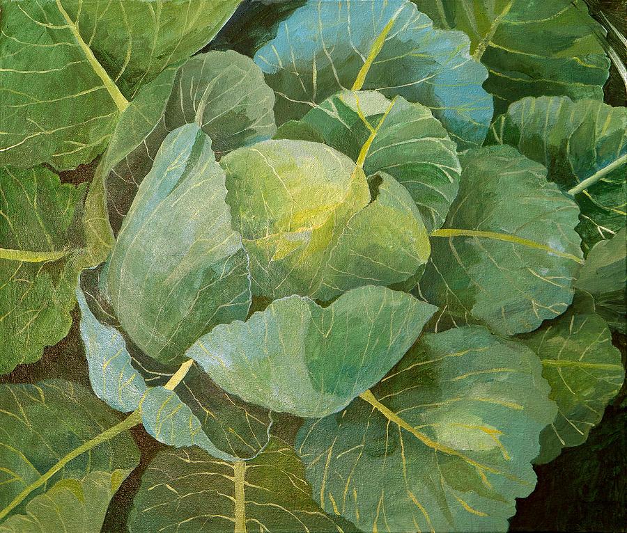Cabbage Painting - Cabbage by Jennifer Abbot