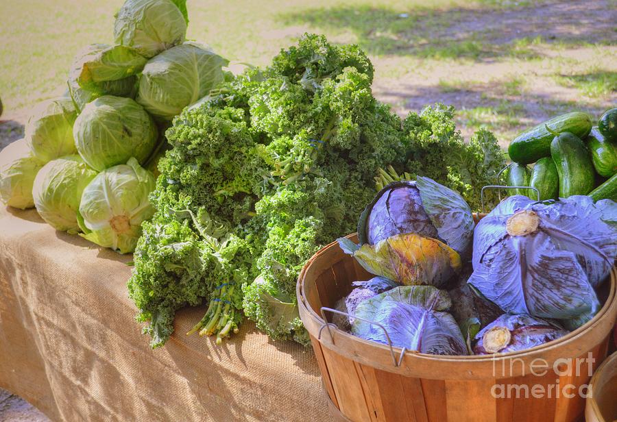Cabbage Photograph - Cabbage, Kale and Cucumbers by Linda Covino