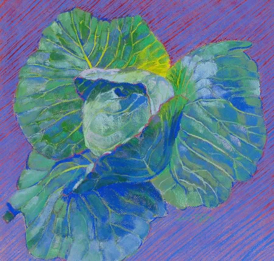 Cabbage Painting by Karen Faire