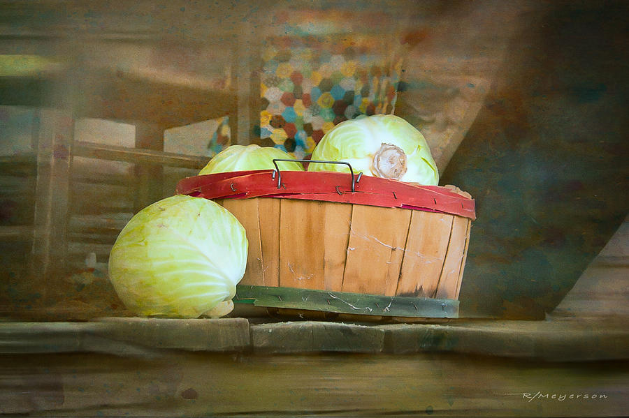 Cabbage Photograph - Cabbage On The Porch by Robert Meyerson