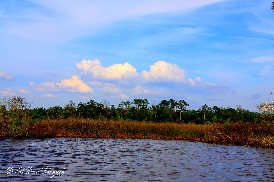 Cabbage Palms and Salt Marsh Grasses of the Waccasassa Preserve Photograph by Barbara Bowen