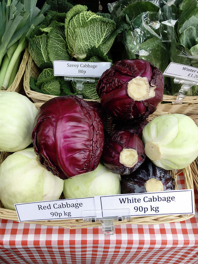 Cabbages in the market Photograph by Tom Gowanlock