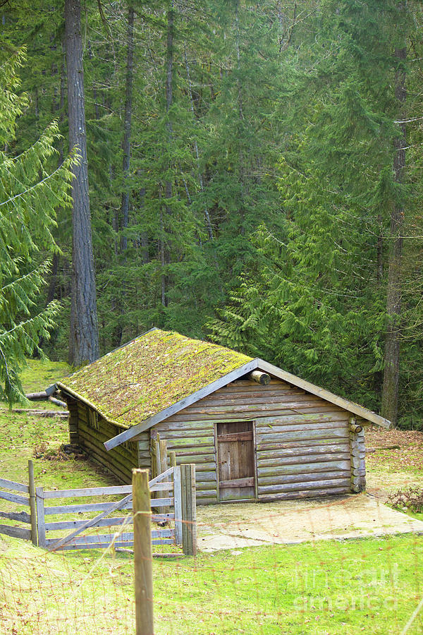 Cabin at Coombs Photograph by Donna L Munro