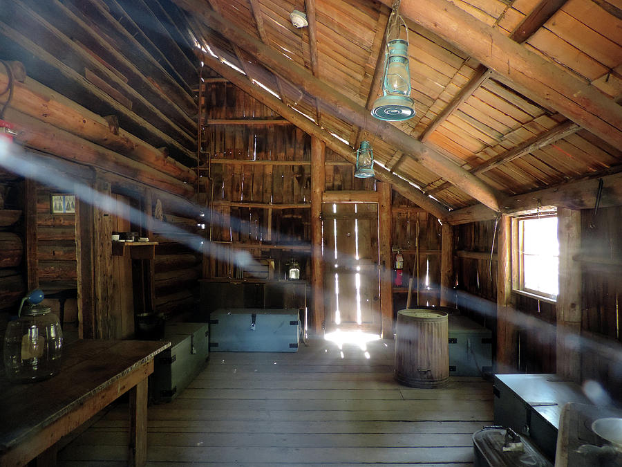 Cabin At Wawona Photograph by Eric Forster