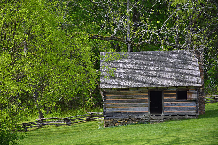 Cabin at Zebulon Vance Birthplace Photograph by Bruce Gourley