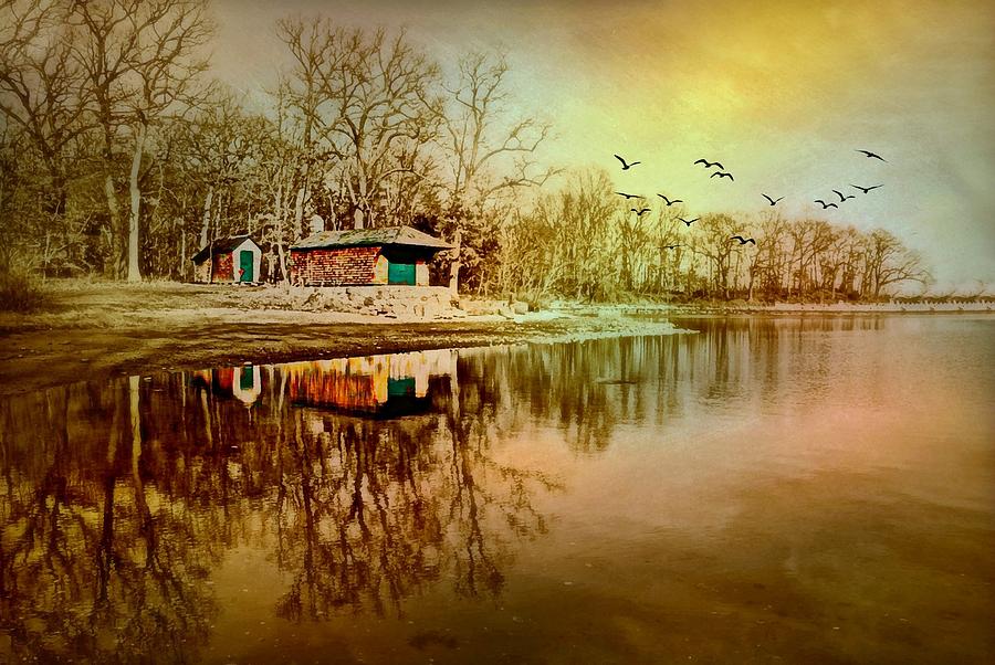 Cabin Fever Photograph by Diana Angstadt