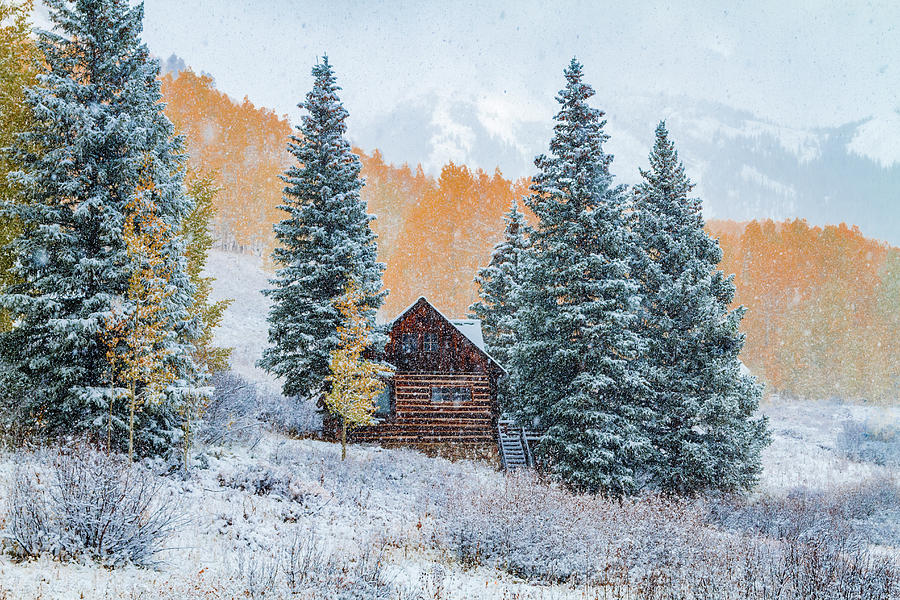 Cabin in Autumn Snow Photograph by Teri Virbickis