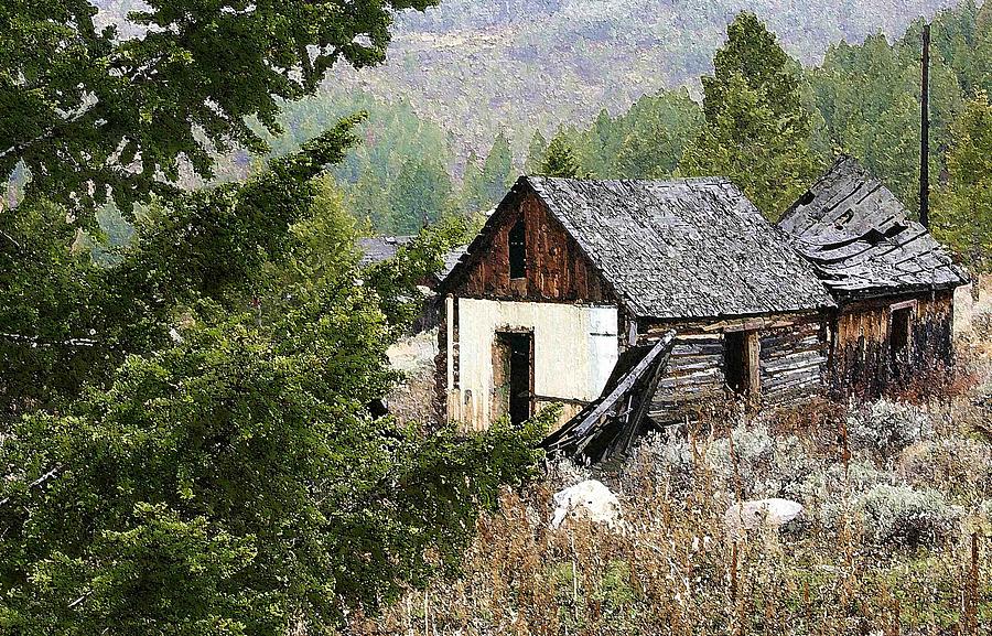 Cabin Photograph - Cabin in Need of Repair by Nelson Strong