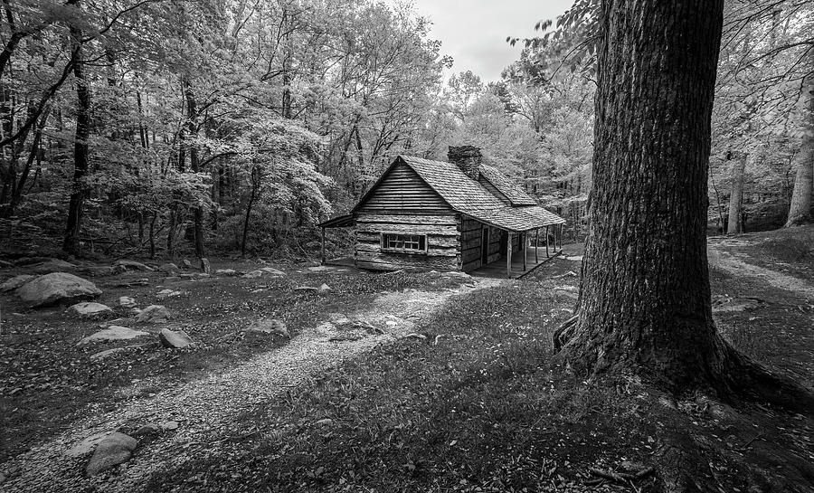 Black And White Photograph - Cabin in the Cove by Jon Glaser