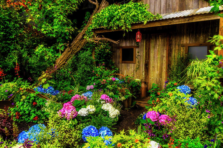 Flower Photograph - Cabin In The Garden by Garry Gay