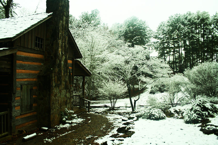 Tree Photograph - Cabin in the Snow by Adam LeCroy