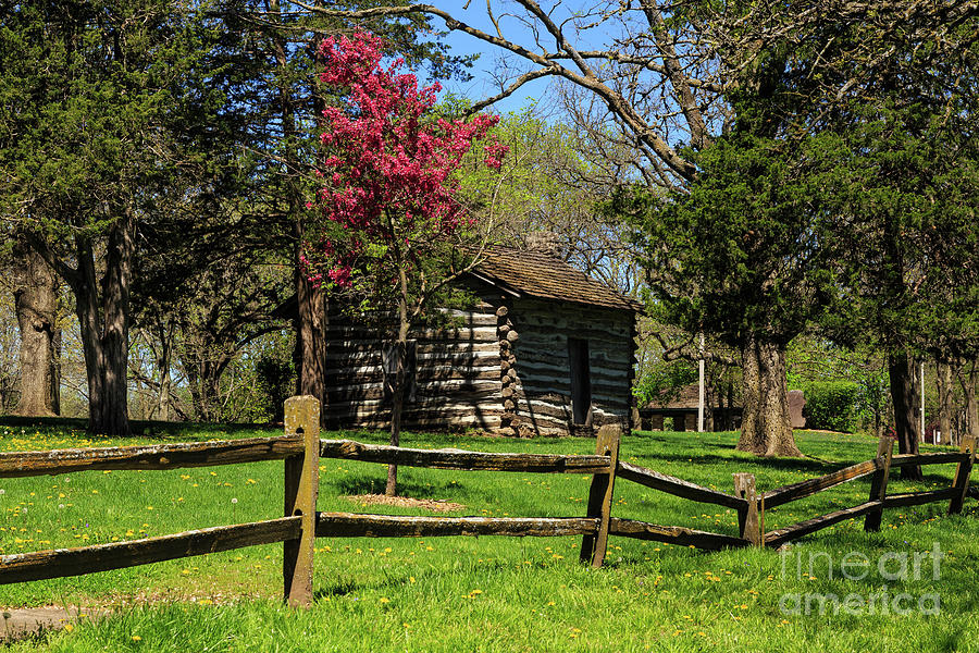 Tree Photograph - Cabin in the Spring by Terri Morris
