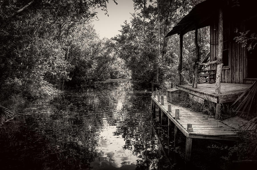 Old Cabin Swamp Scenes