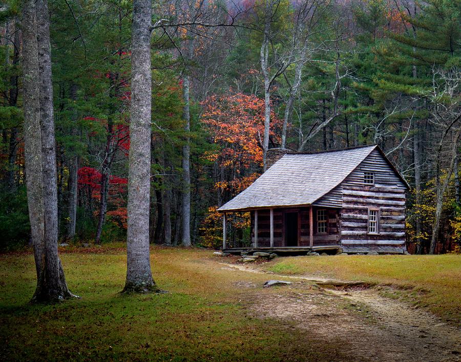 Cabin In The Tennessee Woods Photograph by Harriet Feagin Photography ...