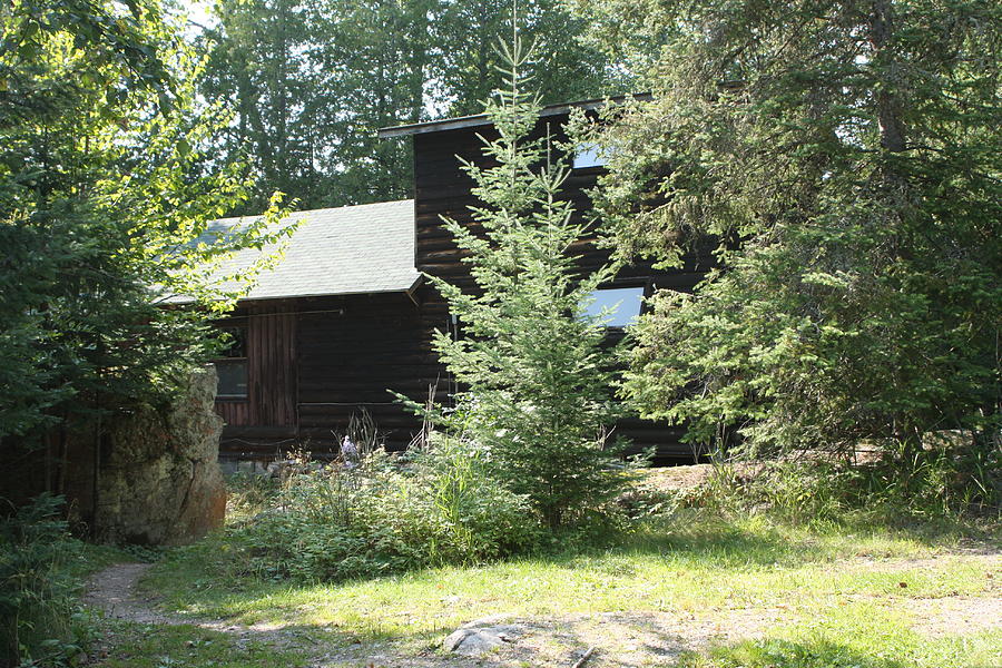 Cabin Photograph - Cabin in the Wilderness by Francoise Villibord Pointeau